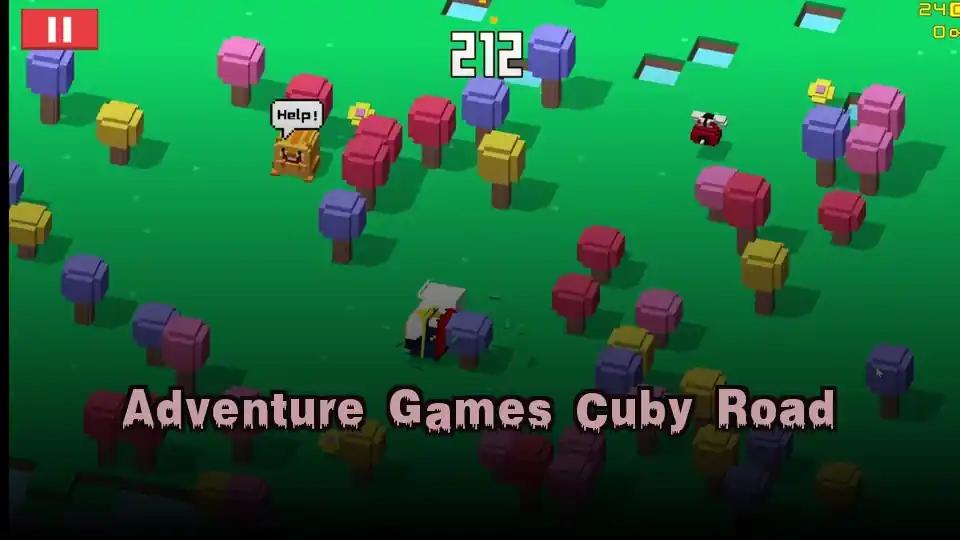 Adventure Games Cuby Road