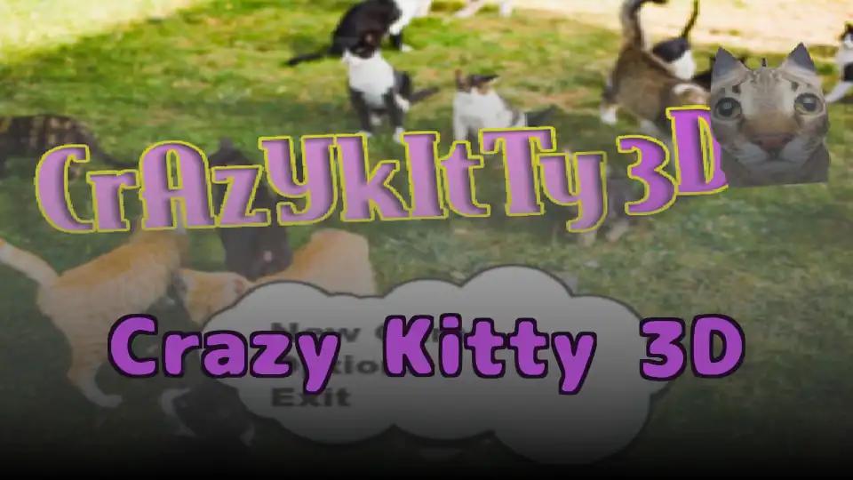 Crazy Kitty 3D