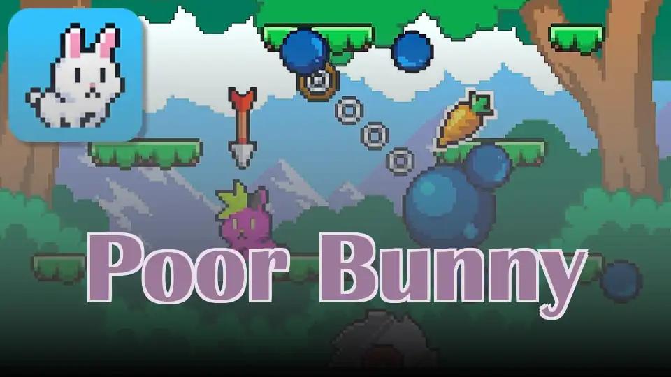 Poor Bunny