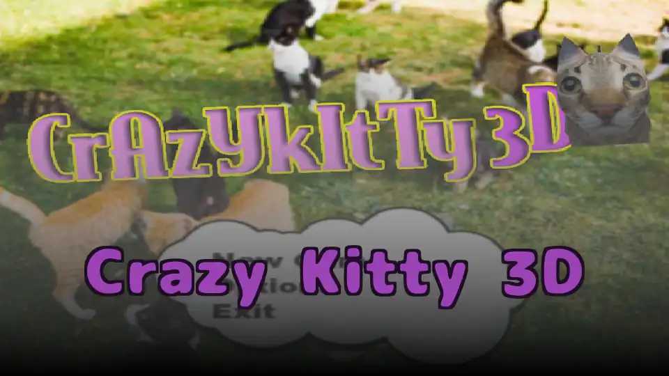 Crazy Kitty 3D